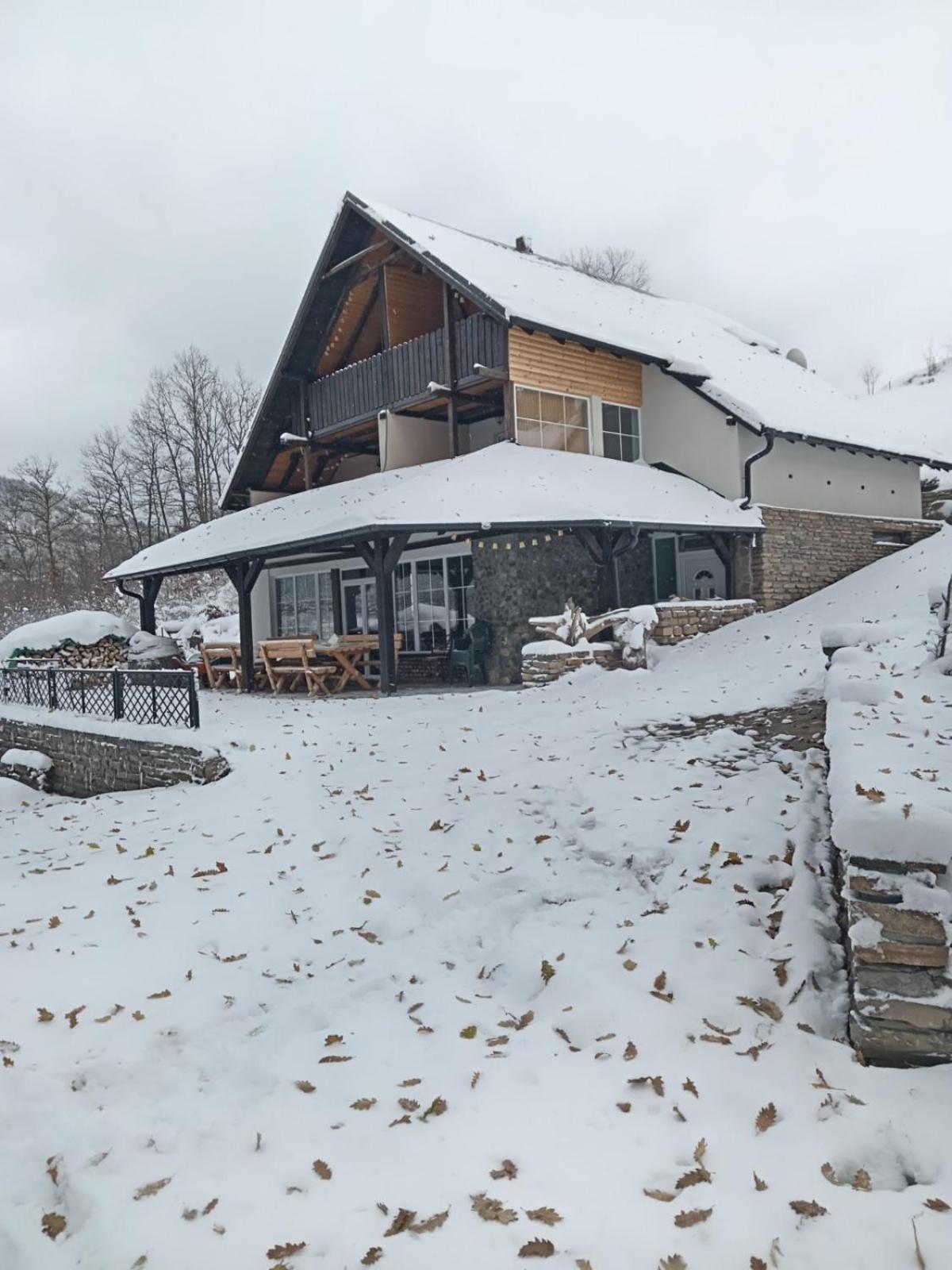 Zavojsko Jezero - Vila Jezero Pirot Exterior foto